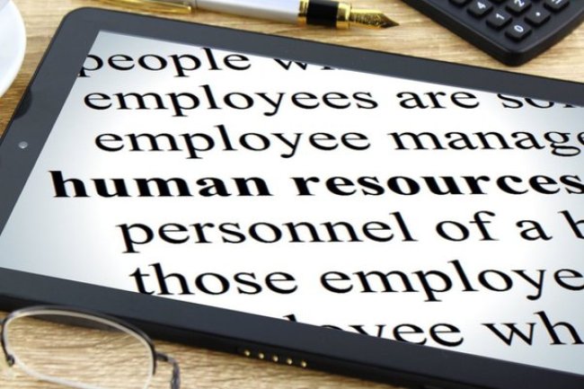 Which is the Best HR & Payroll software?