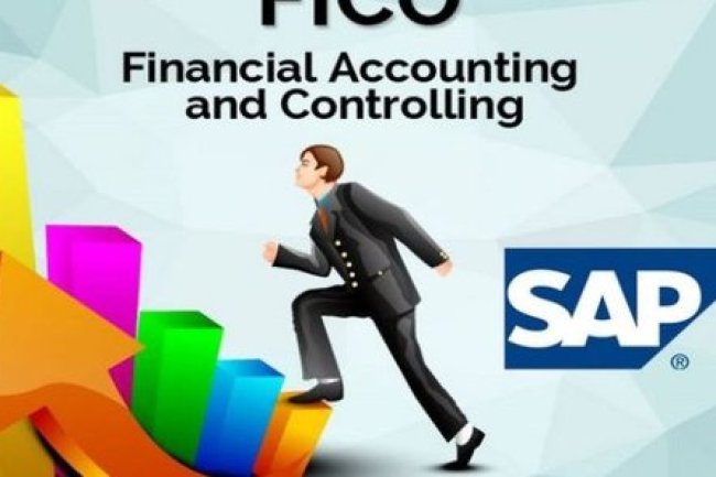How to Create Submodules in SAP FI?