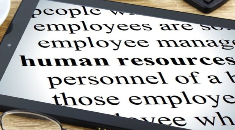 Which is the Best HR & Payroll software?