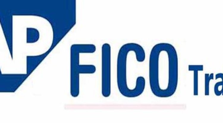 SAP FICO Training Institutes : Radiant TCO