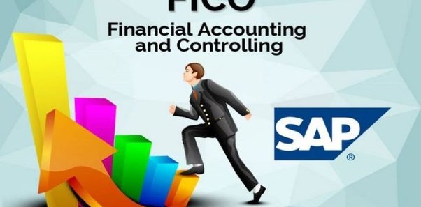 How to Create Submodules in SAP FI?